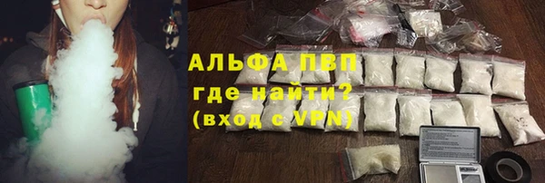 шишки Аркадак