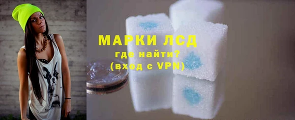 шишки Аркадак