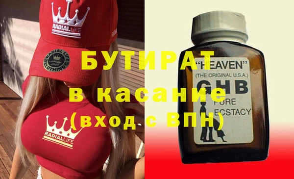 шишки Аркадак
