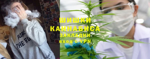 шишки Аркадак