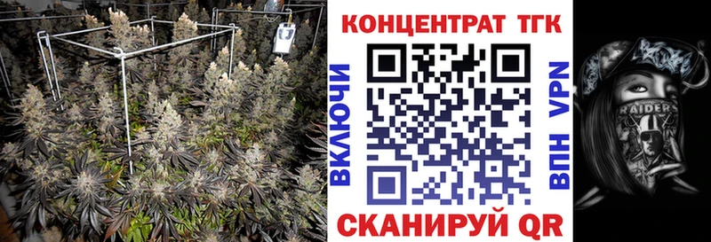 купить   Сланцы  ТГК THC oil 