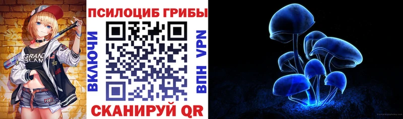 где можно купить наркотик  Сланцы  Псилоцибиновые грибы мухоморы 